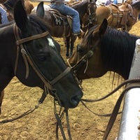 Photo taken at Pasadena Livestock Show &amp;amp; Rodeo by TLG on 9/14/2014