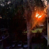 dr rana pet clinic niti bagh