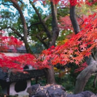 Photo taken at Lingering Garden by Travis Z. on 12/3/2021