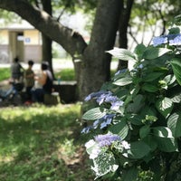 蘆花記念公園 Park In 逗子