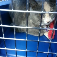 Coventry Animal Hospital - 1620 New Schuylkill Rd Coventry Animal Hospital - 1620 New Schuylkill Rd