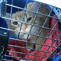 Coventry Animal Hospital - 1620 New Schuylkill Rd Coventry Animal Hospital - 1620 New Schuylkill Rd