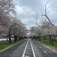 Photo taken at Hains Point Bike Loop by Shahad . on 3/23/2024