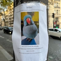 Photo taken at 8th arrondissement – Élysée by Sarah on 10/7/2023