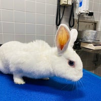 Photo taken at The Animal Medical Center by Sarah on 5/26/2022