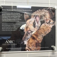 Photo taken at The Animal Medical Center by Sarah on 8/26/2023