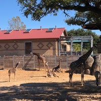 Photo taken at Giraffe African Exhibit by Jeff D. on 1/20/2020
