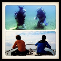 6/22/2013 tarihinde Georgiaziyaretçi tarafından Oceans Unlimited Scuba Diving'de çekilen fotoğraf
