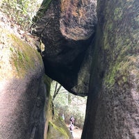 弁慶七戻り つくば市 茨城県