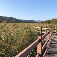 10/13/2019에 Kukhwa K.님이 경안천습지생태공원에서 찍은 사진