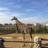 Photo taken at Faruk Yalçın Hayvanat Bahçesi by Hande on 11/20/2016