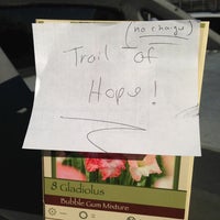 Wayside Garden Center 4 Tips