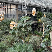 Photo taken at Barbican Conservatory by Sorah F. on 2/11/2024