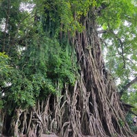 Photo taken at Biggest Balete Tree in Asia by Abigaile Q. on 5/27/2022