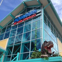 Photo taken at Ripley&amp;#39;s Aquarium of the Smokies by Matthew on 5/3/2013