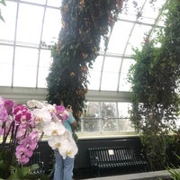 Photo taken at The Orchid Show At New York Botanical Gardens by Samuel B. on 4/20/2019