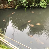 Photo taken at Canal das Tachas by P373R on 1/29/2022