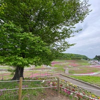 みさと芝桜公園 箕郷町松之沢12 1