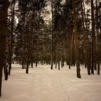 Photo taken at Жулебинский лесопарк by Andrey on 1/23/2022