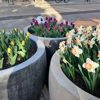 Photo taken at Downtown Boulder by Lucas R. on 4/21/2022