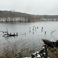 Photo taken at Schlachtensee by Cornell P. on 1/7/2024