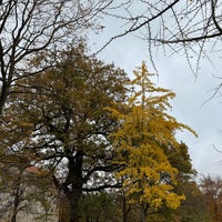 Photo taken at Heinrich-von-Kleist-Park by Cornell P. on 11/17/2023