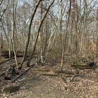 Photo taken at Park am Gleisdreieck - Ostpark by Cornell P. on 3/2/2024