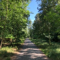 Photo taken at Köllnische Heide by Cornell P. on 6/6/2018