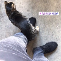 11/3/2019にArkunがAcun Medyaで撮った写真