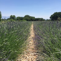 Photo taken at Los Poblanos Organics Farm by Bryce on 6/20/2015