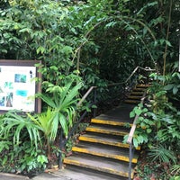 Photo taken at The Rain Forest by おとは こ. on 11/8/2018
