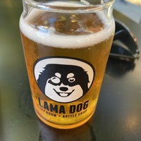 Photo taken at Lama Dog Tap Room by Randi J. on 1/25/2022
