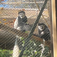 Photo taken at Los Angeles Zoo &amp;amp; Botanical Gardens by Jenny T. on 12/28/2023