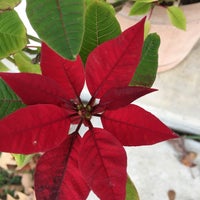 Wolf Creek park - 1 tip from 87 visitors