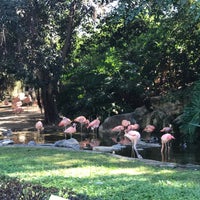 Photo taken at Flamingo Exhibit by Greg D. on 10/10/2016