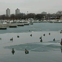 Photo taken at Montrose Harbor - H Dock by Edelweiss on 1/24/2017