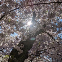 Photo taken at UW Quad by Kanhaiya M. on 4/12/2023