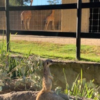 Photo taken at Adelaide Zoo by Jo L. on 1/8/2021