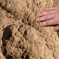 Photo taken at Meteor Crater by Deborah S. on 5/3/2021