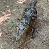 Foto tirada no(a) Crococun Zoo por Davo em 1/22/2023