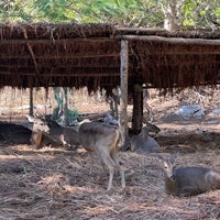 รูปภาพถ่ายที่ Crococun Zoo โดย Davo เมื่อ 1/22/2023