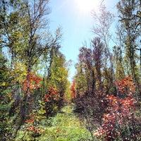 Foto diambil di Thompson&amp;#39;s Harbor State Park oleh Mike R. pada 10/8/2013