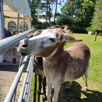Photo taken at The Lake District Wildlife Park by Stu T. on 6/30/2021