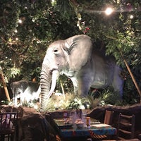 Photo taken at Rainforest Cafe by Batuhan E. on 7/8/2017