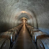 6/25/2022 tarihinde Thomas D.ziyaretçi tarafından Gundlach Bundschu Winery'de çekilen fotoğraf