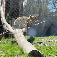 Photo taken at Kovler Lion House by Dennis on 5/3/2023