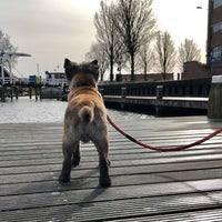 Photo taken at Gemeentehuis Harderwijk by Cairn T. on 2/29/2020