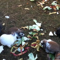 Photos At Gainusa De Munte 3 Tips From 39 Visitors