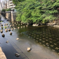 Photo taken at 目黒川 清流の復活 碑 by micafrutto on 5/5/2019