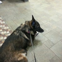 VCA Arboretum View Animal Hospital - Downers Grove, IL VCA Arboretum View Animal Hospital - Downers Grove, IL